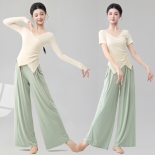 V领新款舞蹈练功服女套装上衣古典舞服现代舞民族服成人训练艺考