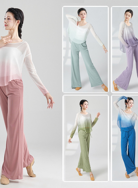 古典舞纱衣身韵飘逸演出服女套装中国风仙女基训练功服舞蹈上衣女