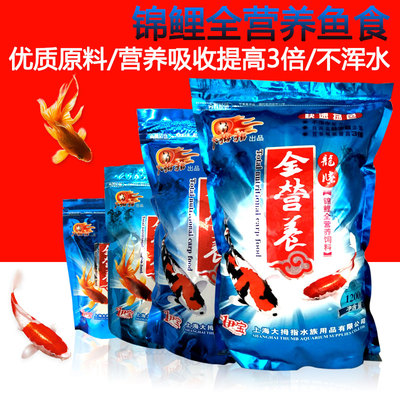 大拇指上海大拇指全营养锦鲤