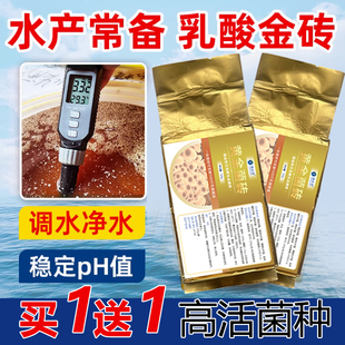 乳酸菌水产养殖专用鱼虾塘调水净水抑制蓝藻复合em菌发酵菌砖原种