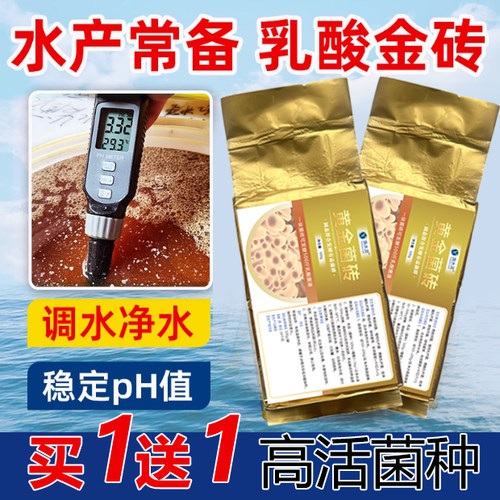 复合乳酸菌发酵菌砖原种