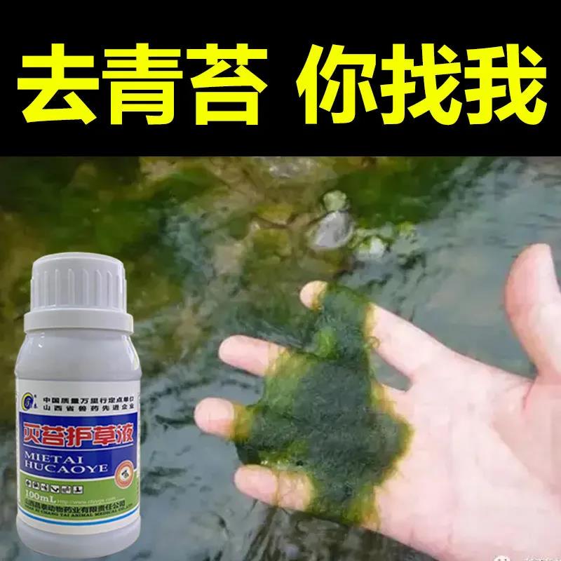 青苔净鱼虾蟹塘水产养殖水体浮萍青苔去除剂不伤水草除绿水专用剂