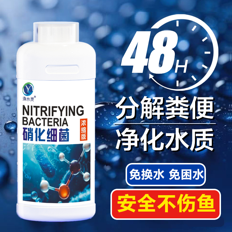 硝化细菌鱼缸用净水剂消化活菌液