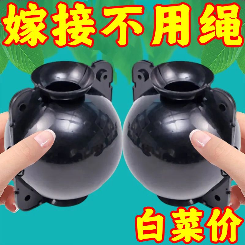 植物高压嫁接盒繁殖球生