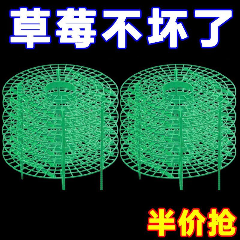 草莓托盘支架种植盆栽水