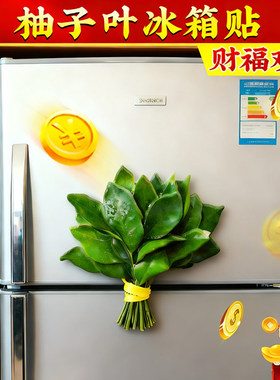 柚子叶冰箱贴去晦气磁贴转运个性创意磁吸装饰可爱亚克力2026新款
