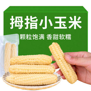 拇指小玉米4斤云南版 滇园 纳特产新鲜手指玉米迷你香软糯即食包谷