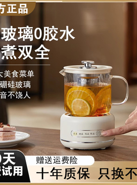 德国办公室小型养生壶煮茶器小茶壶电陶炉烧水壶一人mini迷你玻璃