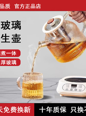 2025新款全玻璃养生壶炖煮一体小型办公室家用多功能纯玻璃花茶壶