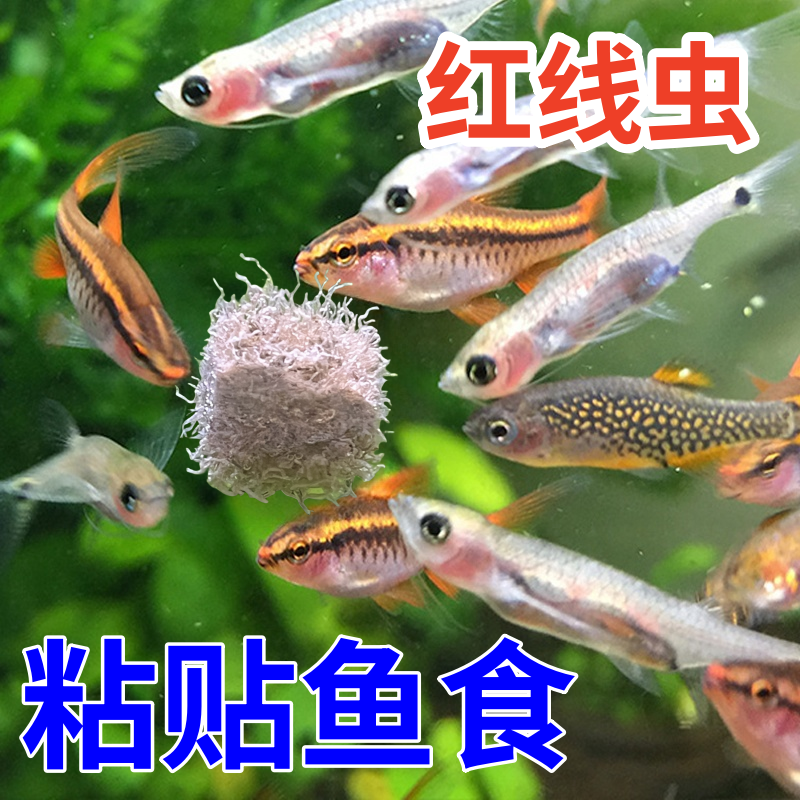 红线虫鱼食冻干红丝虫水蚯蚓小型观赏鱼饲料孔雀鱼灯科龟粮丰年虾