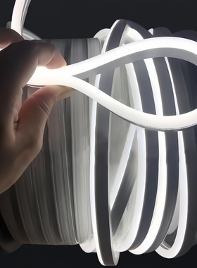 led12v 低压硅胶柔性灯带220V霓虹灯带广告户外防水软灯条 发光字