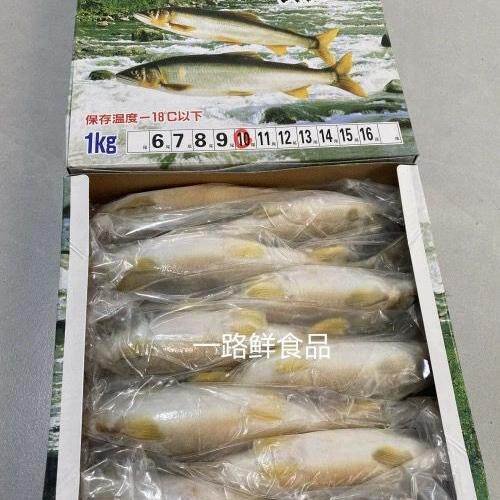 母香鱼鲜活冷冻带籽母香鱼日本料理烧烤食材新鲜冷冻1盒2斤5到14