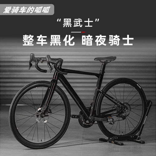 适用24款喜德盛ad350公路