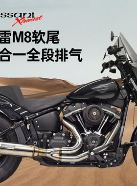 美产Bassani适用于哈雷18后软尾街霸路威S整段二合一全段排气筒