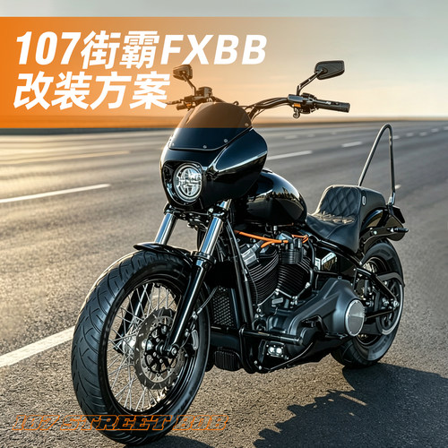 自由大道适用哈雷Street Bob街霸黑色 FXBB整车改装方案 20