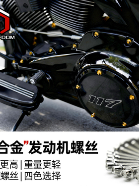 Chiefdom适用哈雷M8软尾117/121滑翔CVO防锈钛合金螺丝发动机螺丝