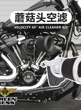 阿伦奈斯哈雷滑翔路王黑色蘑菇头空滤883/1200电镀歪脖大流量进气