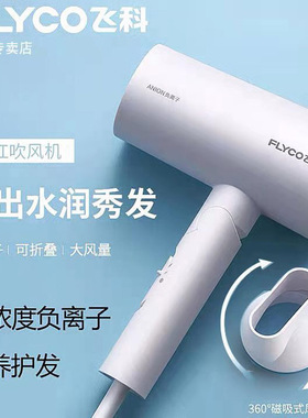 飞科电吹风机小大功率发廊理发店发型师静音宿舍家用学生FH6277