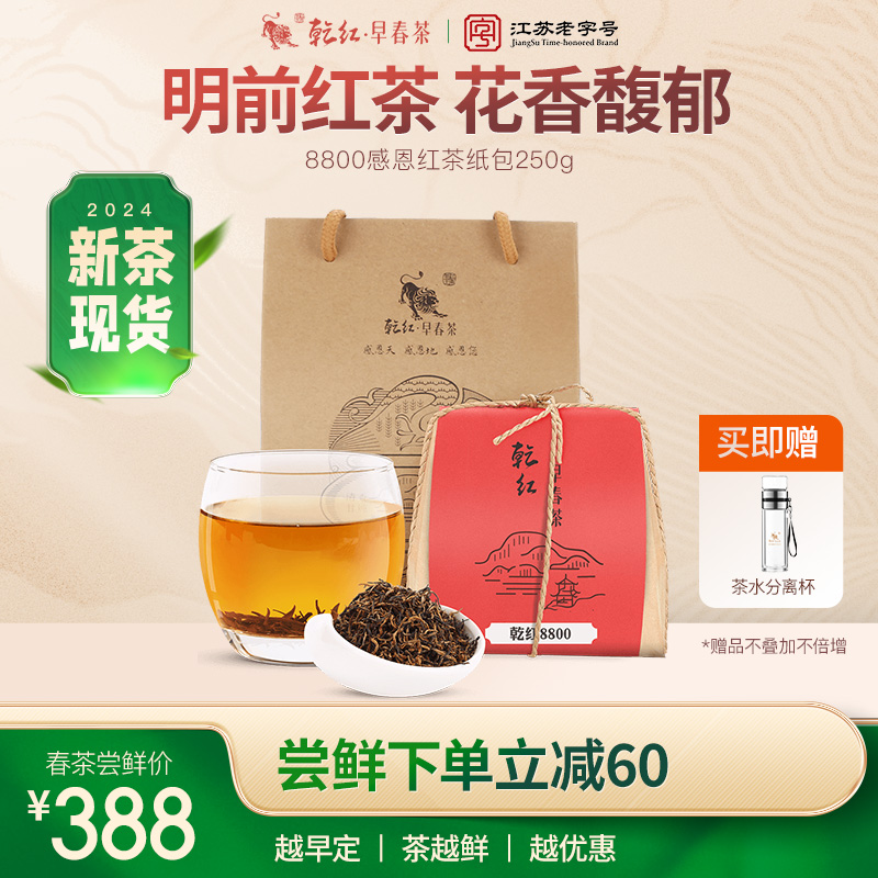 乾红早春茶宜兴明前红茶