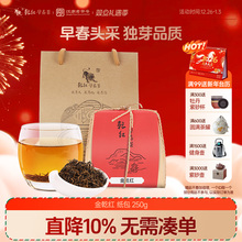 2025新茶现货 乾红早春宜兴明前花香红茶叶8800系列袋装250g