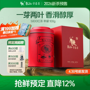2026新茶预售乾红5800早春茶宜兴浓香老茶客雨前红茶叶100g单罐