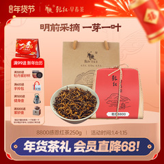 2025新茶现货 乾红早春宜兴明前花香红茶叶8800系列袋装250g