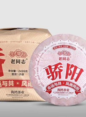 老同志熟普2020骄阳春茶乔木普洱茶熟茶饼357g云南大叶种海湾茶业