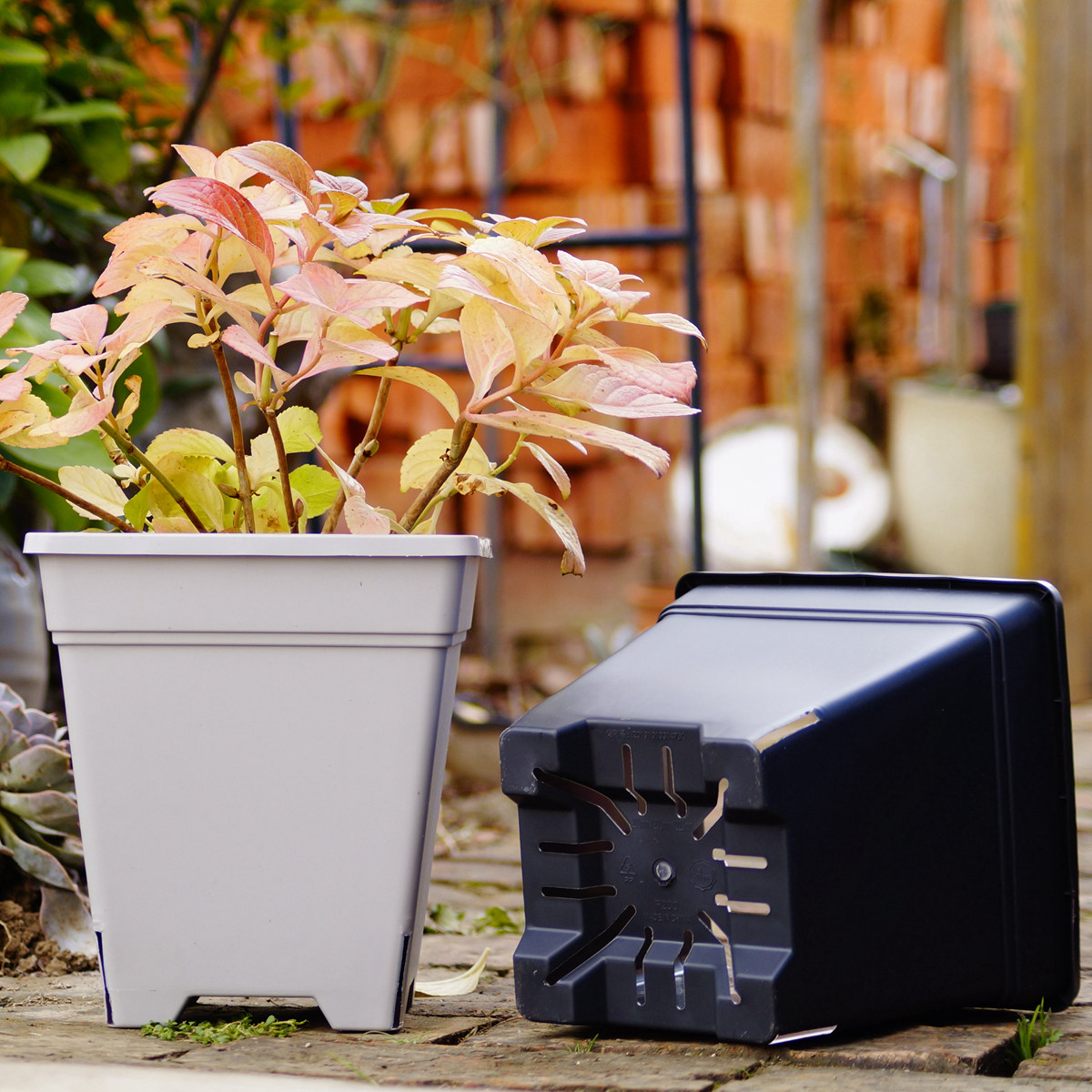 升级加仑盆方控根盆木村方盆正方形青山盆月季铁线莲树脂花盆