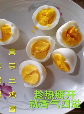 正宗土鸡蛋农村自养纯粮土鸡蛋笨鸡蛋柴鸡蛋野外散养土鸡蛋50枚
