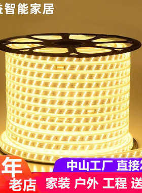 灯带led灯条整卷100米工程特亮家用客厅灯槽220V户外防水灯带灯条