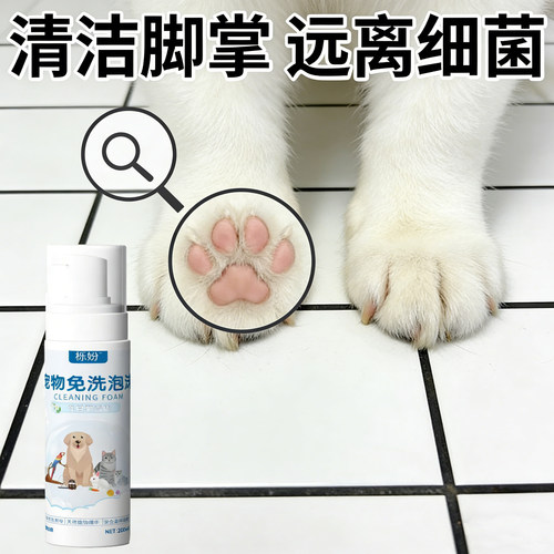 猫咪干洗泡沫幼犬专用免洗泡沫泰迪除臭杀菌免水洗沐浴露宠物用品
