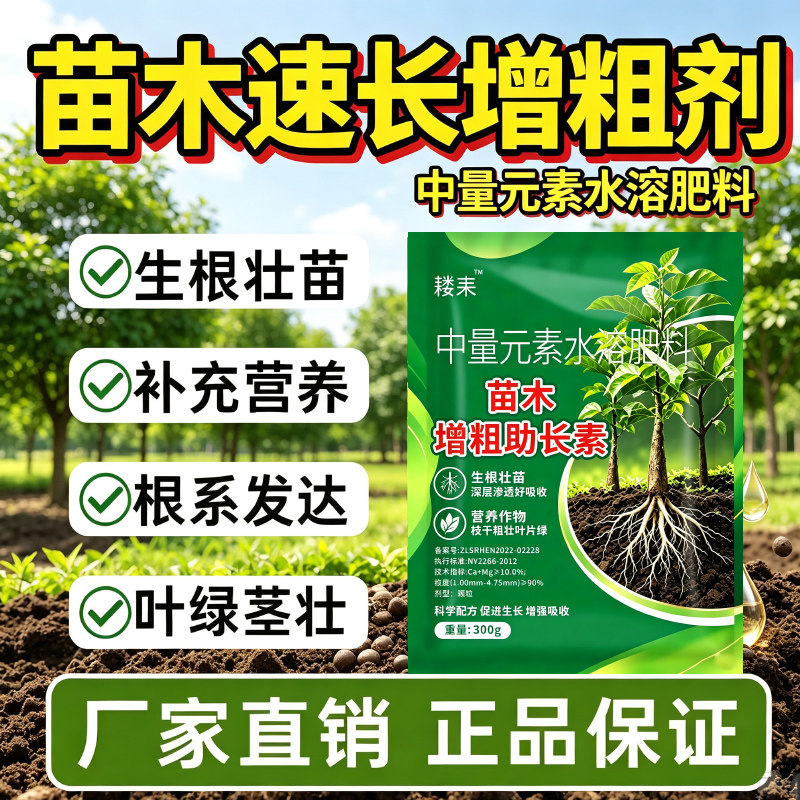 苗木速长增粗剂果树杨树树苗桉树茶树生根肥壮根剂促生长新芽猛长
