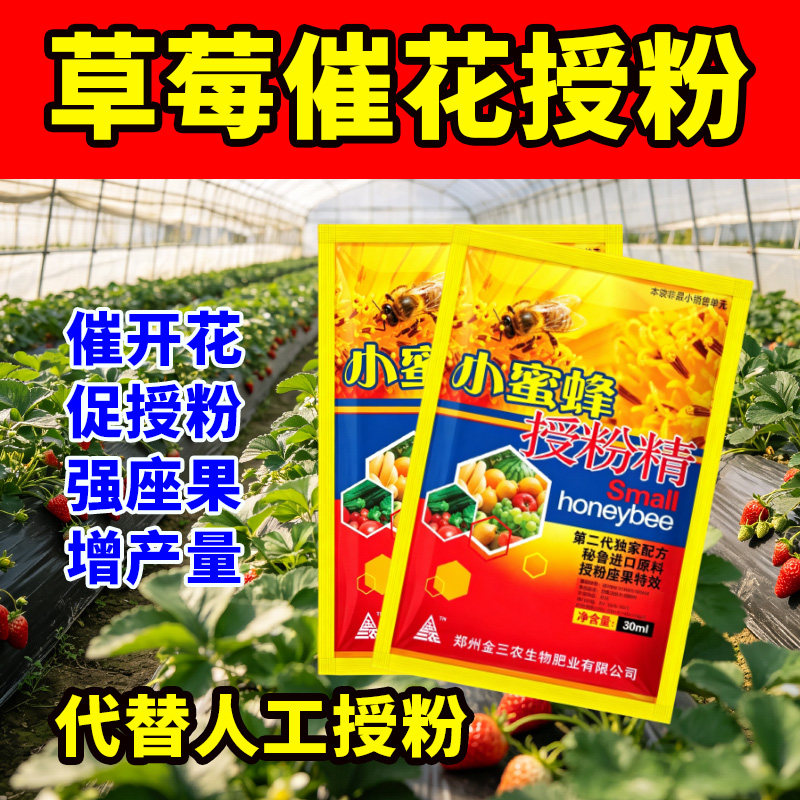 草莓蜜蜂授粉精草莓专用授粉座果灵沾花药省人工授粉保花保果正品
