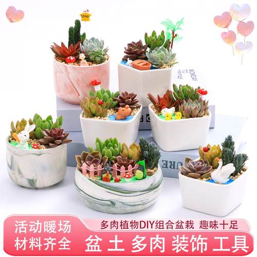多肉植物手工DIY创意微景观材料包含盆含土多肉陶瓷花盆组合盆栽