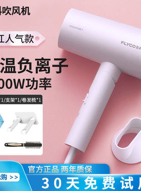飞科吹风机家用大功率负离子护发