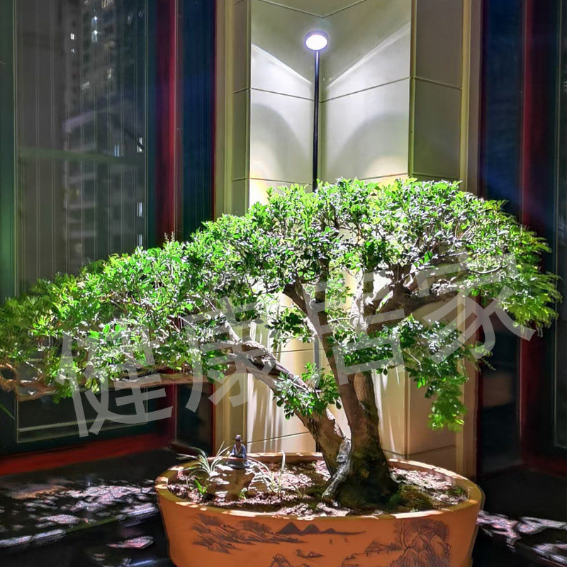 植物生长灯植物灯落地多肉补光灯仿太阳光照全光谱室内月季绿植灯