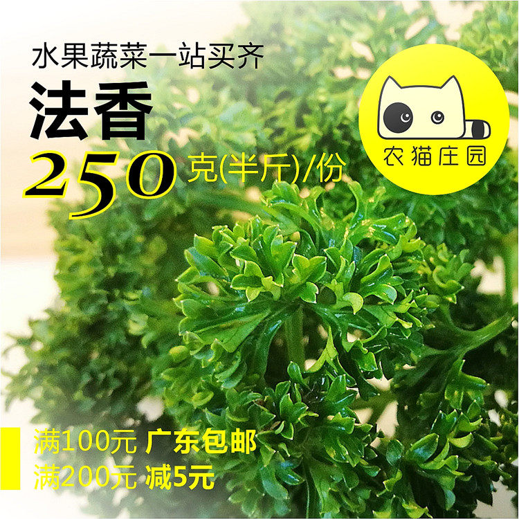 法香 半斤 新鲜番茜荷兰芹 农猫庄园 深圳水果沙拉蔬菜西餐轻食