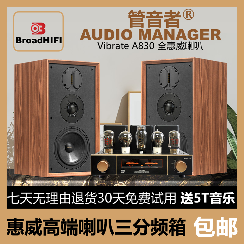 HIVI喇叭8寸3分频铝带式高音实木皮发烧家用HIFI书架音响套装 影音电器 Hifi音箱 原图主图