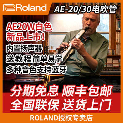 RolandAE20AE30电子吹管萨克斯