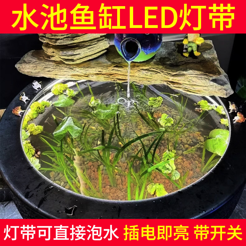 鱼缸氛围灯水下专用防水LED灯带24V实心灌胶水池照明低压灯条IP68