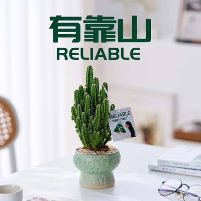 万重山X有靠山可靠的山形小盆栽