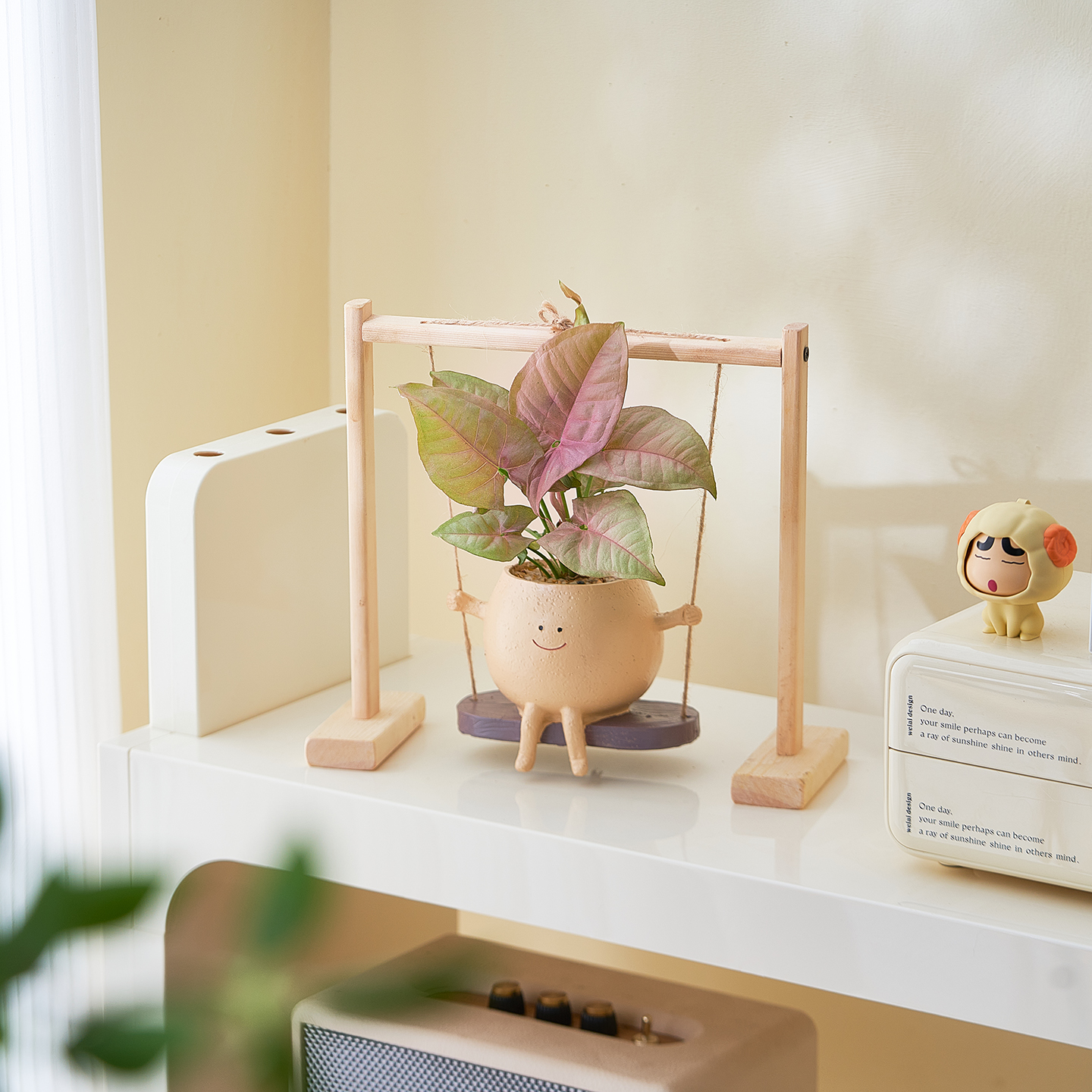 室内办公室红粉佳人绿公主