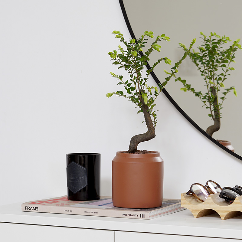 黑古茶室内办公室净化空气