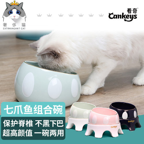 奢侈鱼组合碗猫咪水碗猫碗食碗