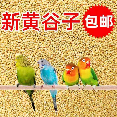黄谷子带壳小米粟谷虎皮玄凤牡丹鹦鹉鸟粮文鸟鸟粮黍子黄雀鸟食