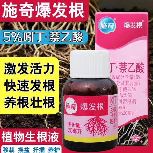 国光爆发根植物移栽扦插生根剂