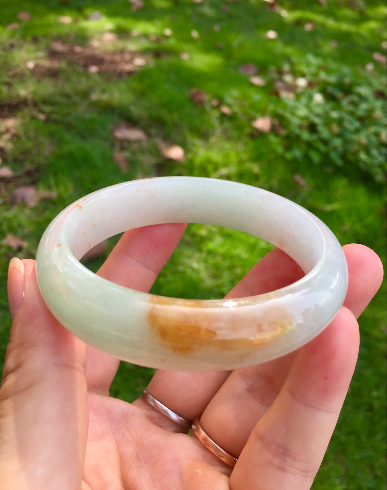 天然A货翡翠手镯  糯冰种 三彩 黄翡 洒金花 特色货  55.5圈口