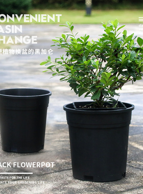 园艺黑色加仑盆透气花盆塑料室内家用种植盆阳台月季多肉花盆