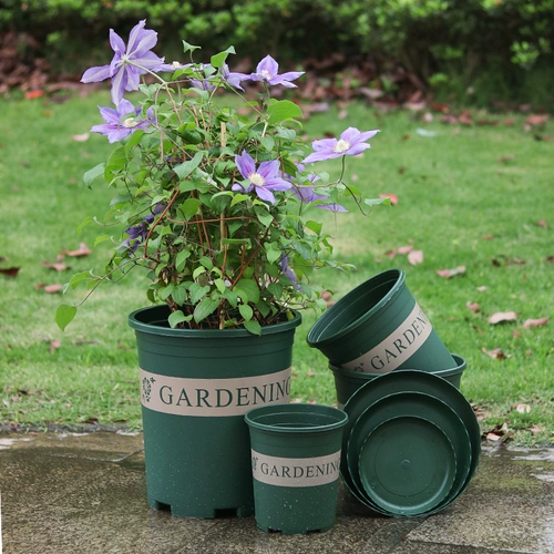 Круглый большой пластиковый цветочный горшок с утолщенным коротким и коренастым галлонным горшками сочный зеленый клематис посадка горшка из овощной смолы