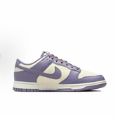 FZ4349 NIKE耐克女子W 100 LOW NN运动休闲鞋 NIKE DUNK